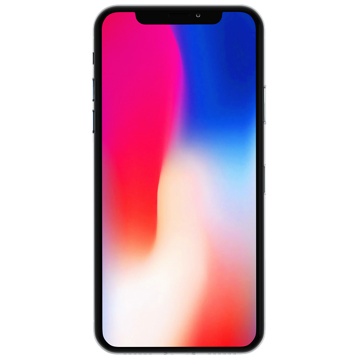 Apple iPhone X